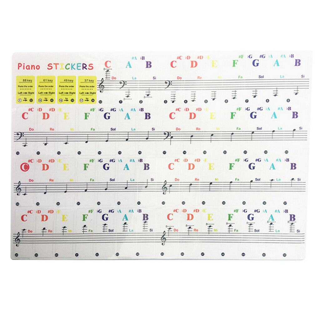 Piano & Keyboard Stickers for 37/54/61/88 Transparent Learning Practice