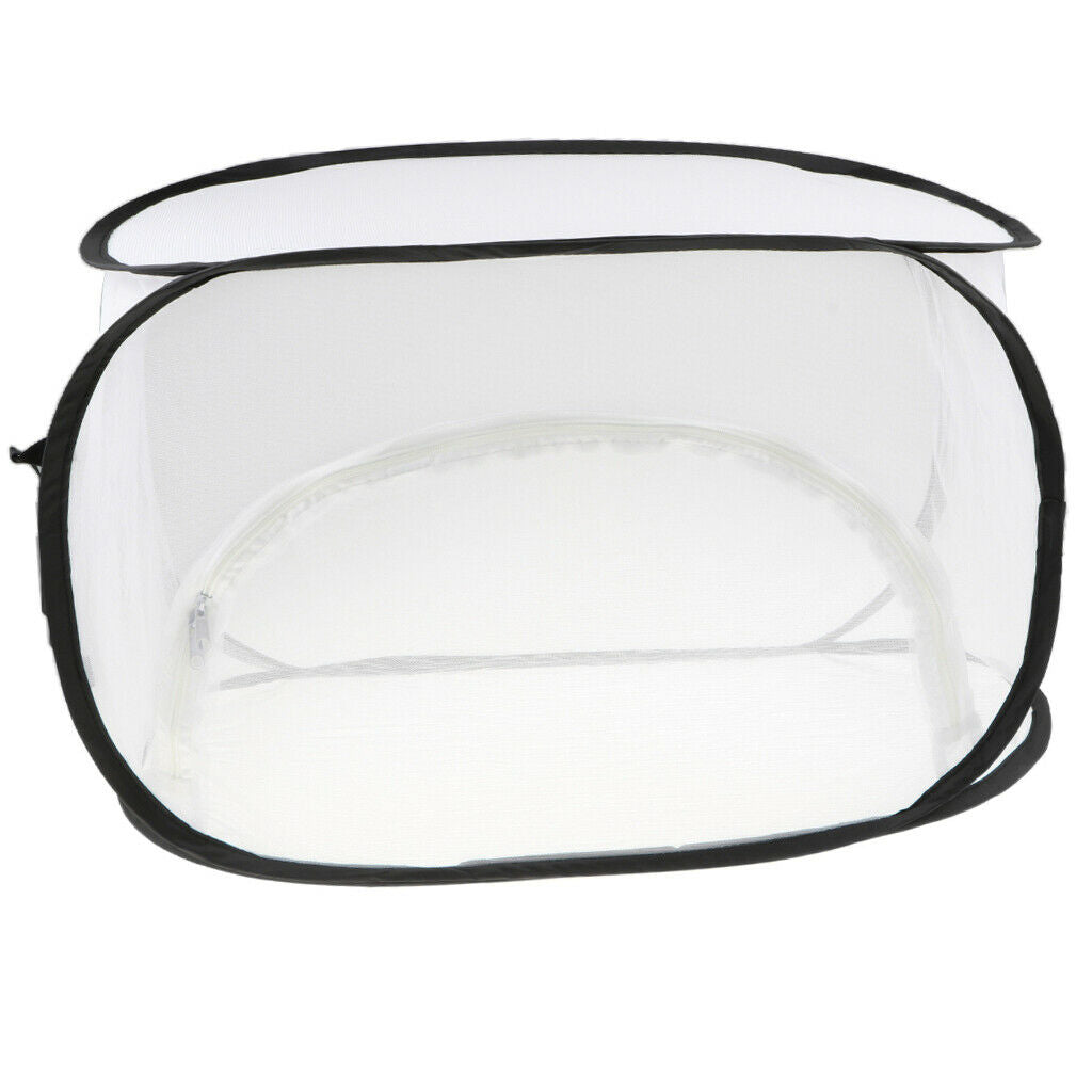 2XInsect Breeding   Up Cage Butterfly Habitat Terrarium Living Net Collapsible
