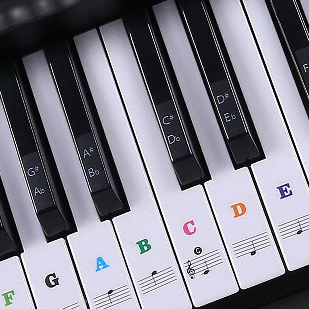 Keyboard Piano Multicolor Removable Piano and Keyboard Stickers for 49 61 76DEAU