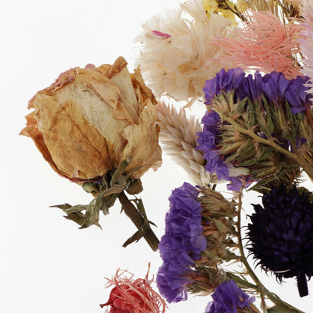 Dried Flowers, Bundles of Real Dried Flowers Pressed Leaves, Home Floral Crafts