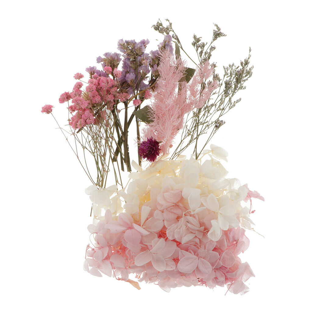 Natural Dried Flowers Leaves for Cards Making Jewelry Making Paper Art