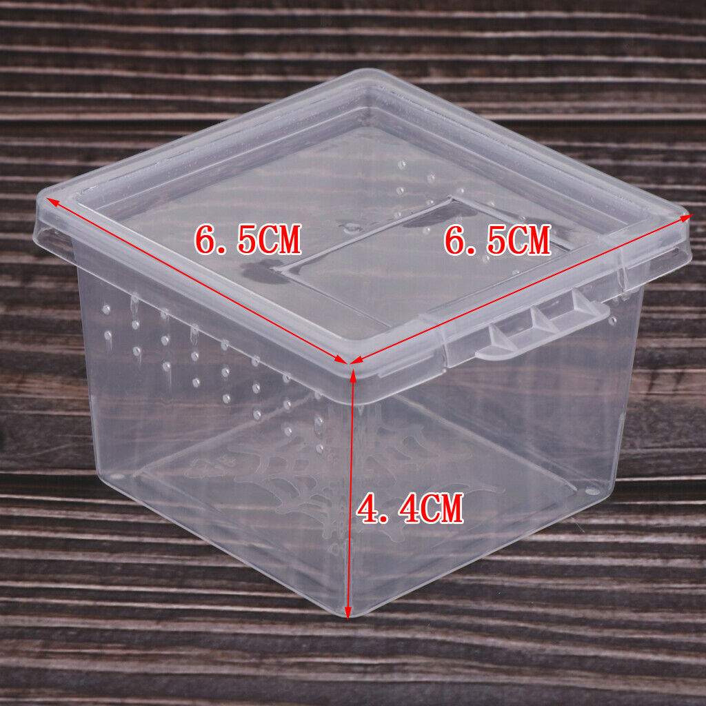 60pcs Reptile Lizards Feeding Box Turtle Feeding Box For Reptile Snakes