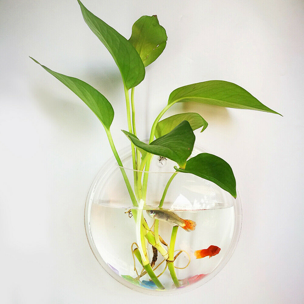 19.5cm Wall Mounted Hanging Fish Bowl Home Ornaments Tank Plant Flower Pot Vase