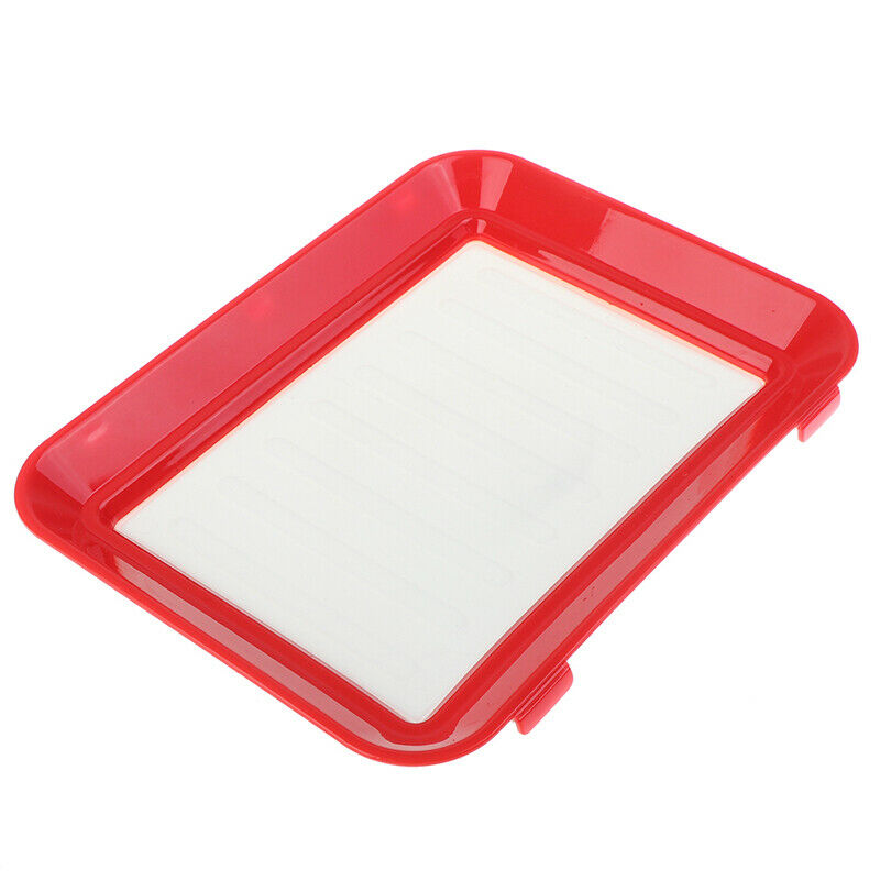 Fresh Food Preservation tray Organizer Pallet Refrigerator Food Kitchen GadgBDA