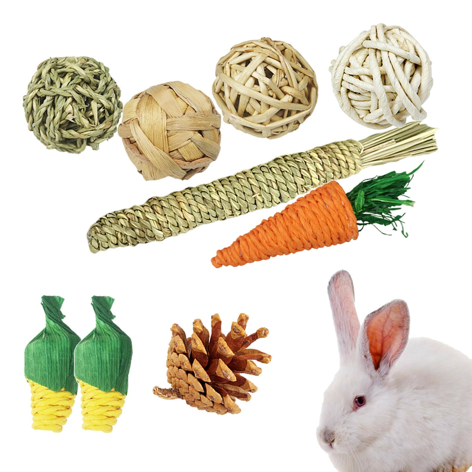 9 Pieces Hamster Chew Toys Guinea Pigs Toys Accessories Teeth Care Exercise