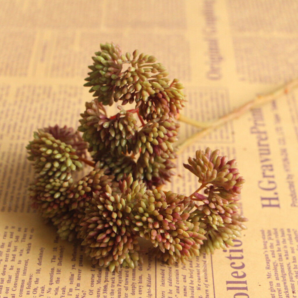 Artificial Fruit Succulent Grass Desert Plant DIY Flower Arrangement Brown