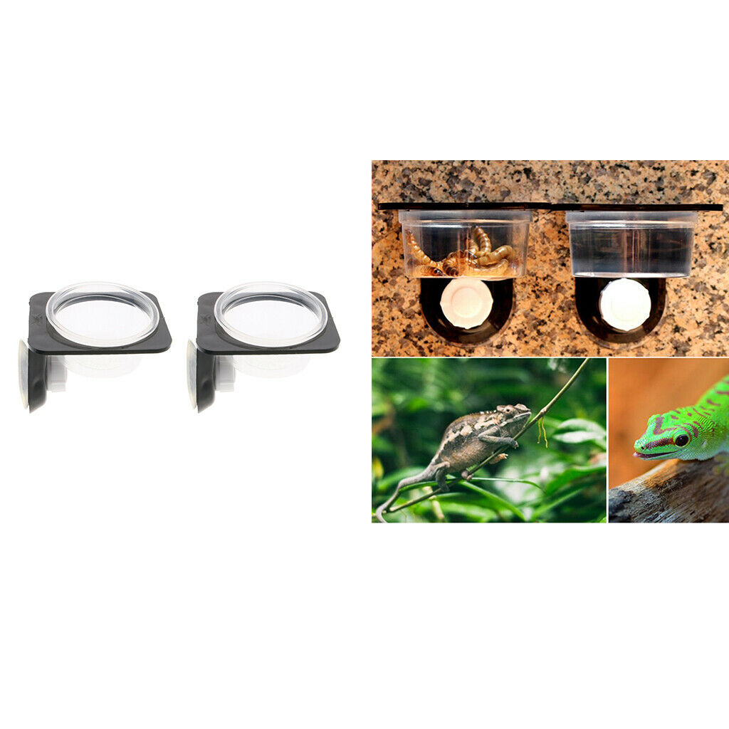 4Pcs Suction Mini Worm Dish Reptile Gecko Ledge Feeder Corner Space Saving