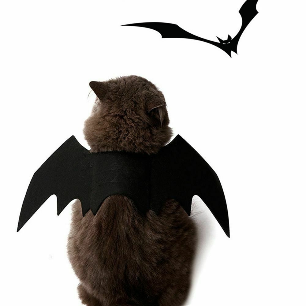 Bat Wings Cat Vest Cat Costume Halloween Decorations Cat Wings Pet Clothes