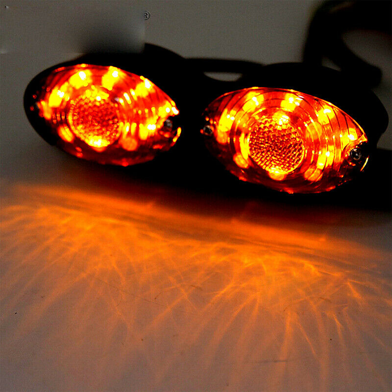 Motorcycle Modification Double Oval LED Tail Brake Lights w/ License Plate Frame