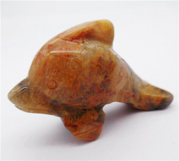 50x28x15mm Natural Crazy Lace Agate Dolphin Statue Healing Decoration HH8133