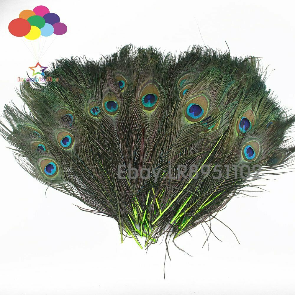 100 PCS Fluorescent Peacock Feather 25-30 cm Clothing Decoration Plumage Fashion