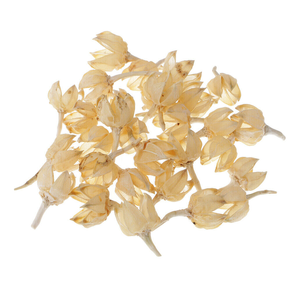 30x 2-3cm Dried Decolourize Rose Hips For Christmas Wedding Decor DIY Crafts