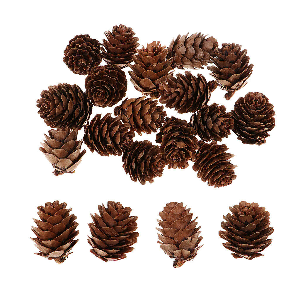 Best Ornaments For Festivals Pine Cones Logs Decor Craft