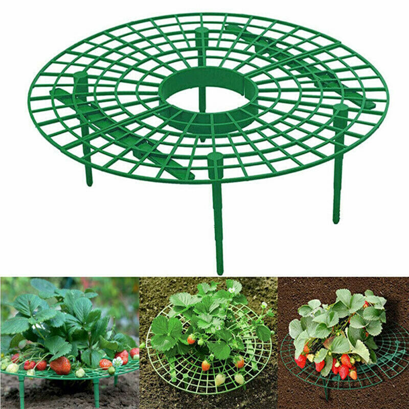 Strawberry Planting Rack Fruit Support Plant Climbing Vine Props Flower P.l8