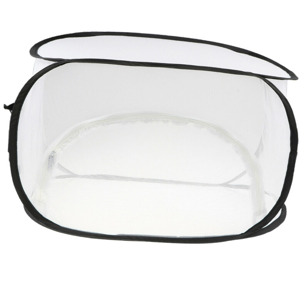 2XInsect Breeding   Up Cage Butterfly Habitat Terrarium Living Net Collapsible