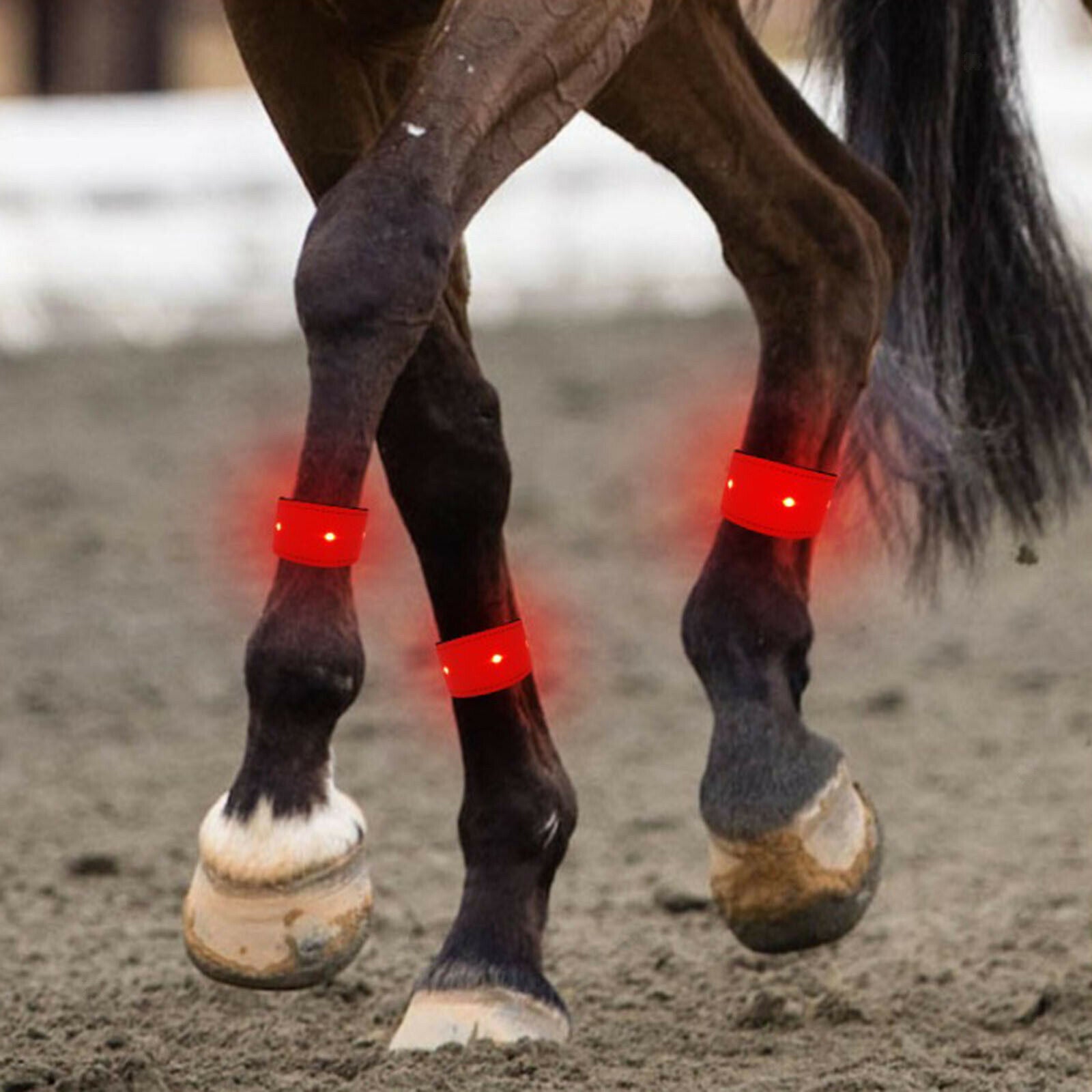Reflective Safety Leg Belt LED Horse Leg Strap Night Cycling Walking Running