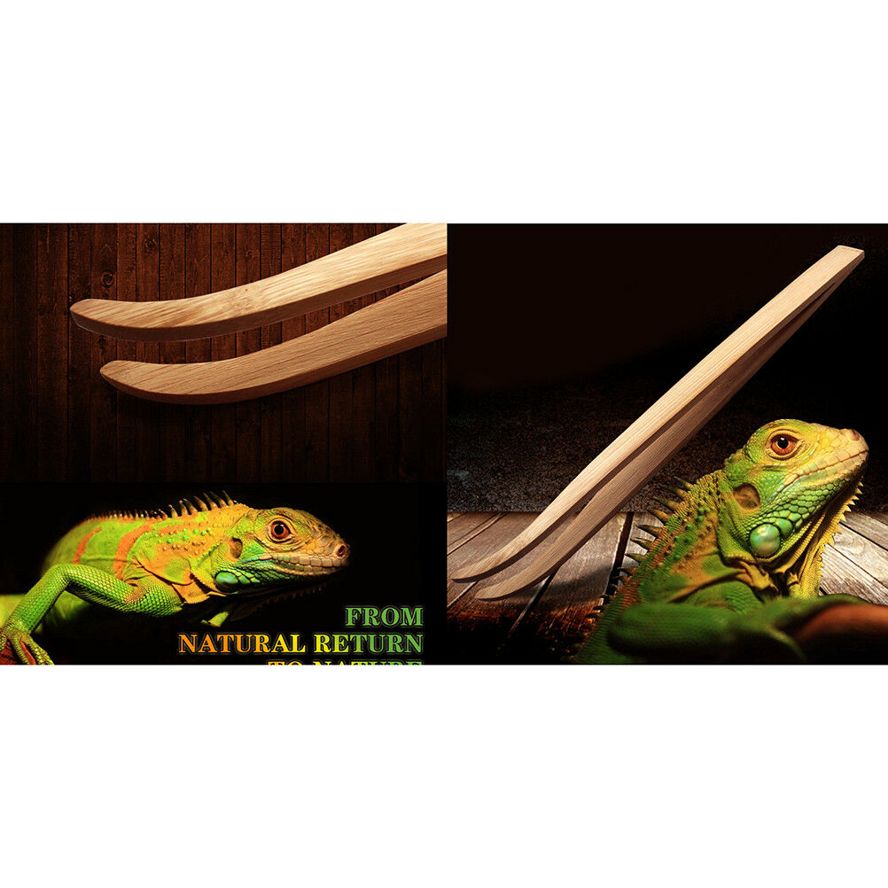 Eco-Friendly Bamboo Tool Angled Reptile Terrarium Feeding Tweezers&lAT.l8