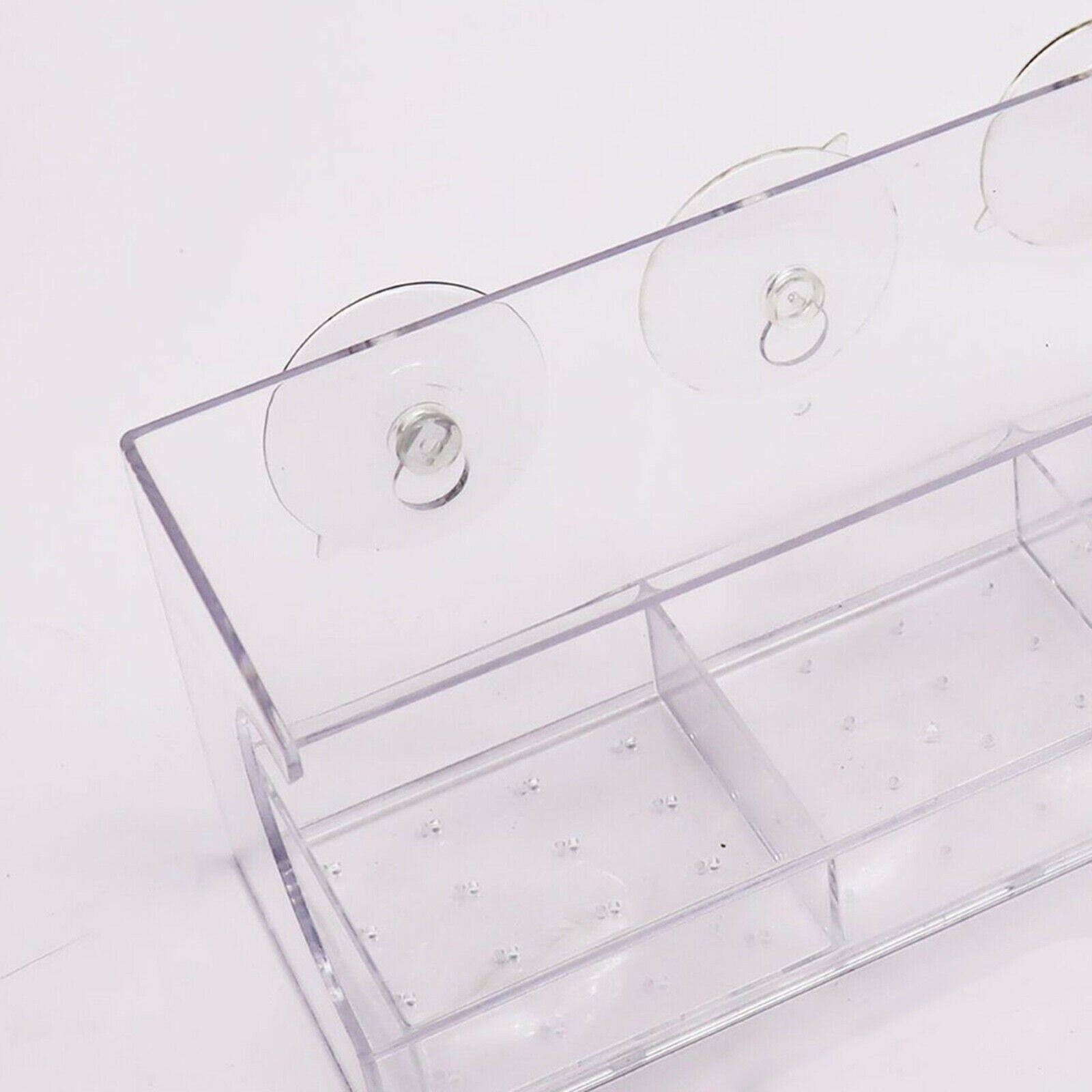 Window Bird Feeder Transparent Viewing Compact for Wild Birds Blue Bird