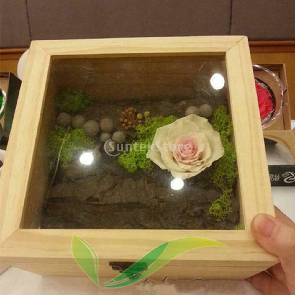 Wooden Lockable Hinged Box Glass Top Display Case Flower/Crafts/Gifts Box 1#