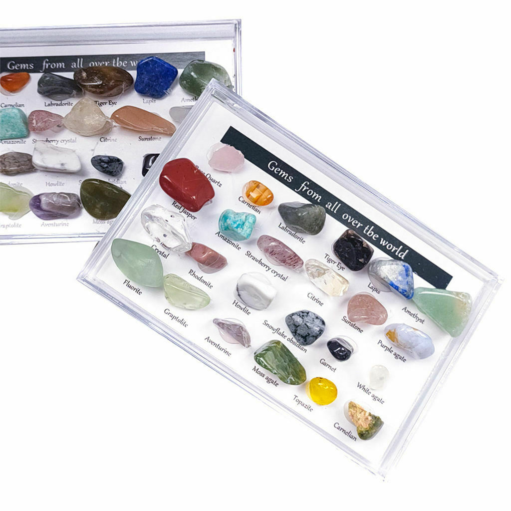24 Pieces Rock and Mineral w/ Display Case Geography Education for Kids