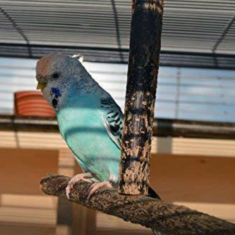 Parrot Bird Stand Bar Parrot Toys Swing Pet Bracket Wooden Rest Perches B.l8