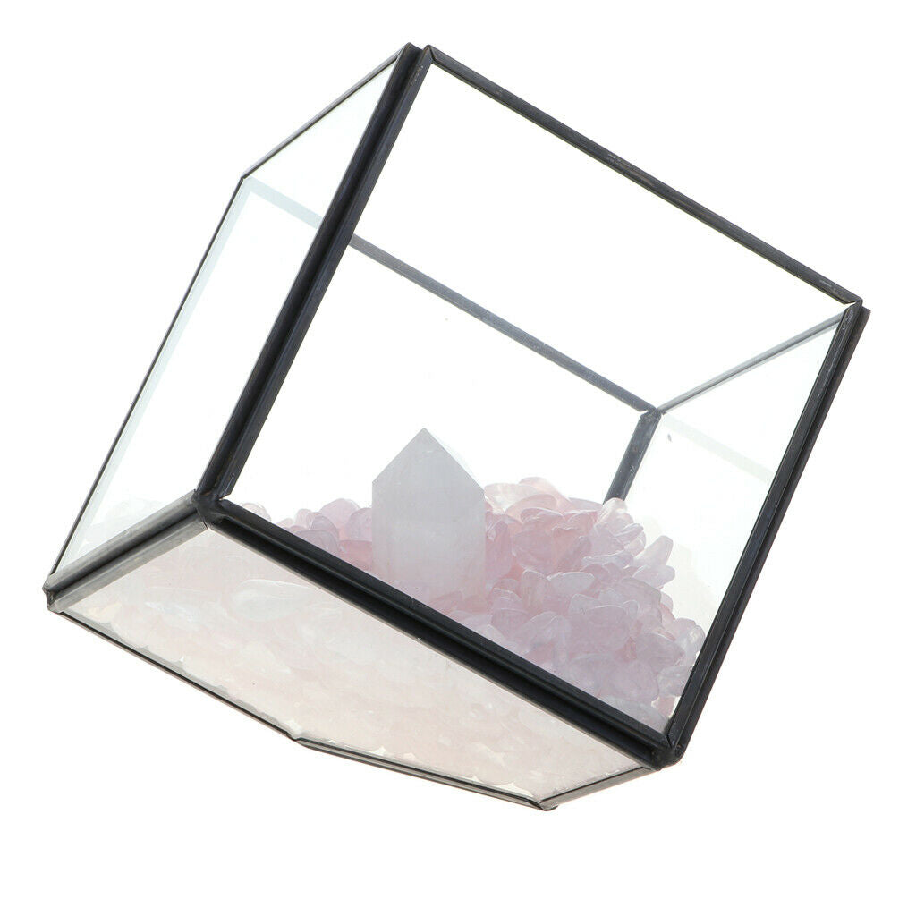Natural Rock Mineral Collection Geology Earth Science Kit Ornament White