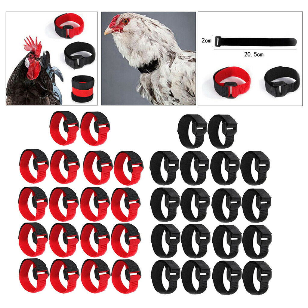 36x Rooster Collar Free Neckband Prevent Rooster from Screaming for Duck