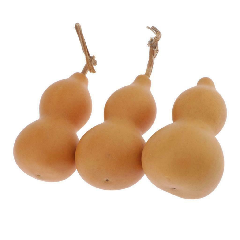 3Pcs Natural Gourds Pendant Unpainted for DIY Crafts Home Hanging Ornament