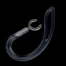 4X Silicone Earhook Ear Hook Loop Earloop Clip For Bluetooth Headset 8.0mm
