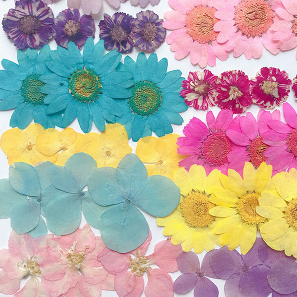 1Bag Assorted Natural Dried Flowers Embellishments Crafts Soap Card Making