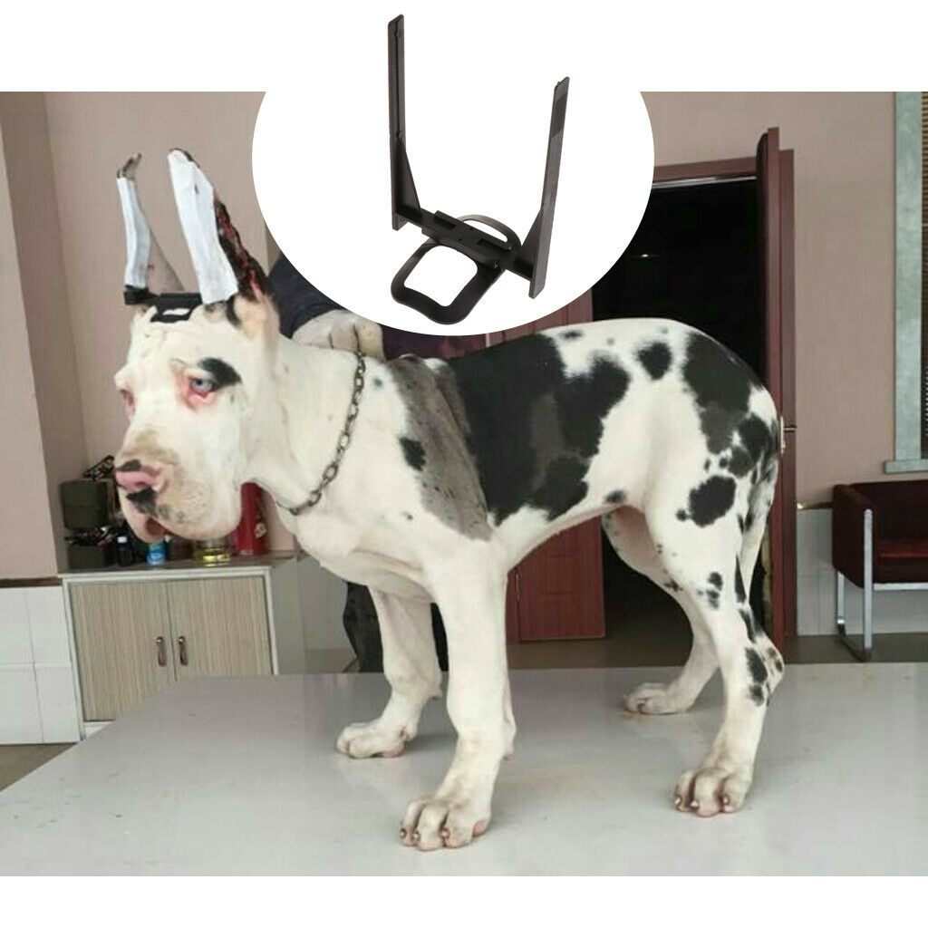 4x Plastic Ear Care Tools Ear Stand Up for Great Dane Samoyed Doberman