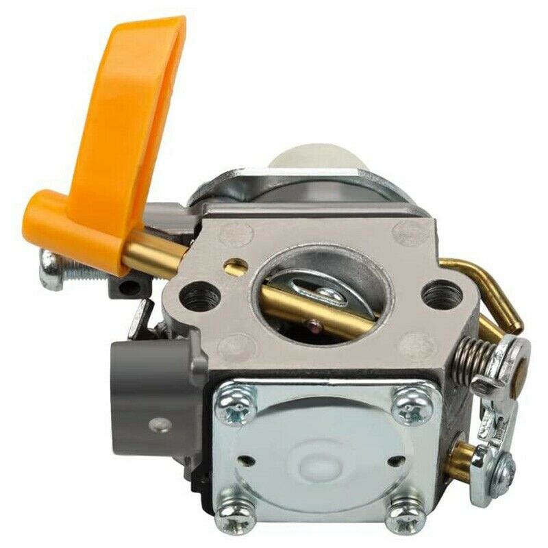 C1U-H60 Carburetor W Tune Up Kit Air Filter for Ryobi Homelite 25Cc 30Cc St TrF6
