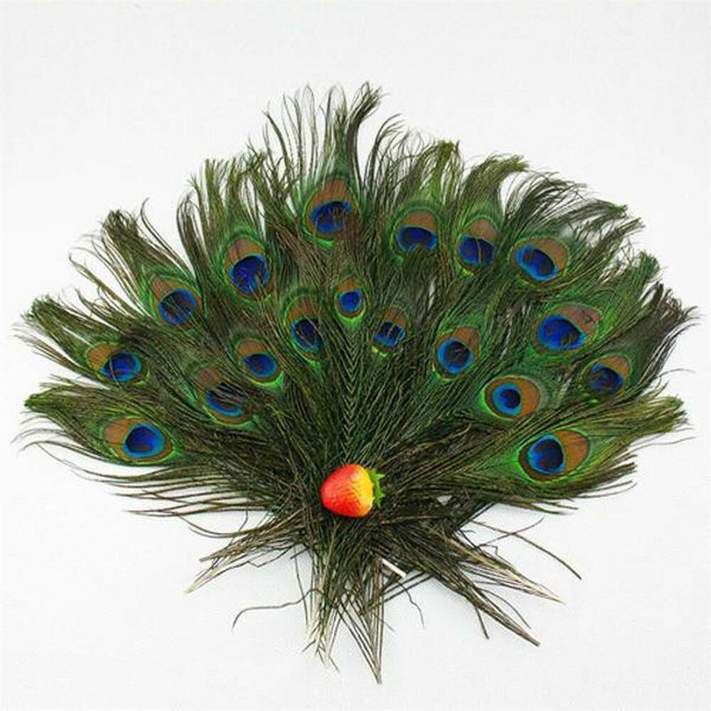 10Pcs DIY Natural Peacock Tail Feathers Wedding Festival Party Home Decoration
