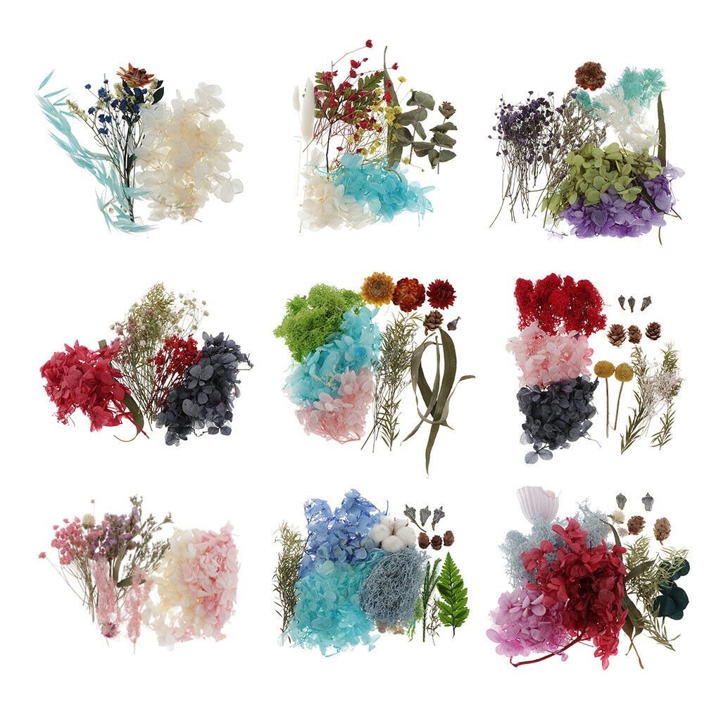 Natural Dried Flowers Leaves for Cards Making Jewelry Making Paper Art