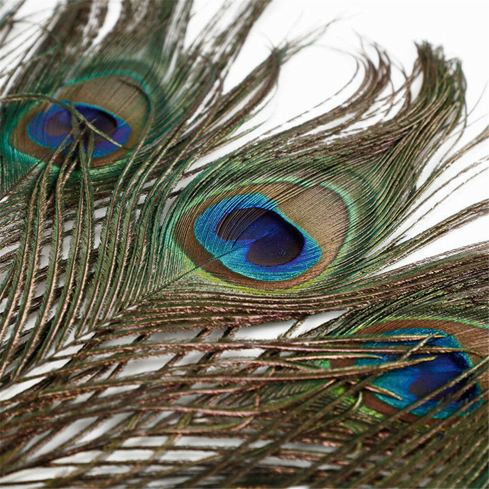 10Pcs DIY Natural Peacock Tail Feathers Wedding Festival Party Home Decoration