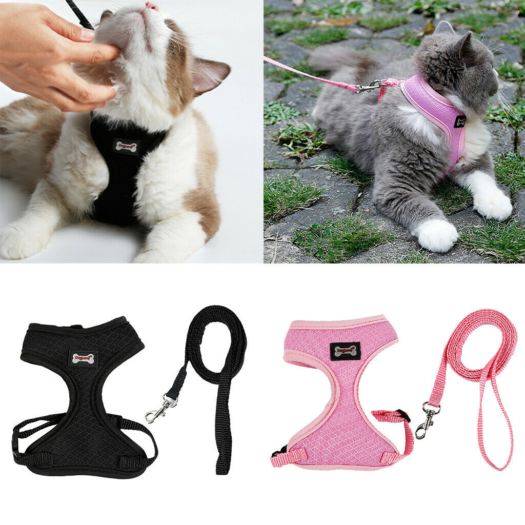 Set of 2, Pet Cat Kitten Soft & Comfy Made Well 120cm/3.94ft Leash Puppy Dog