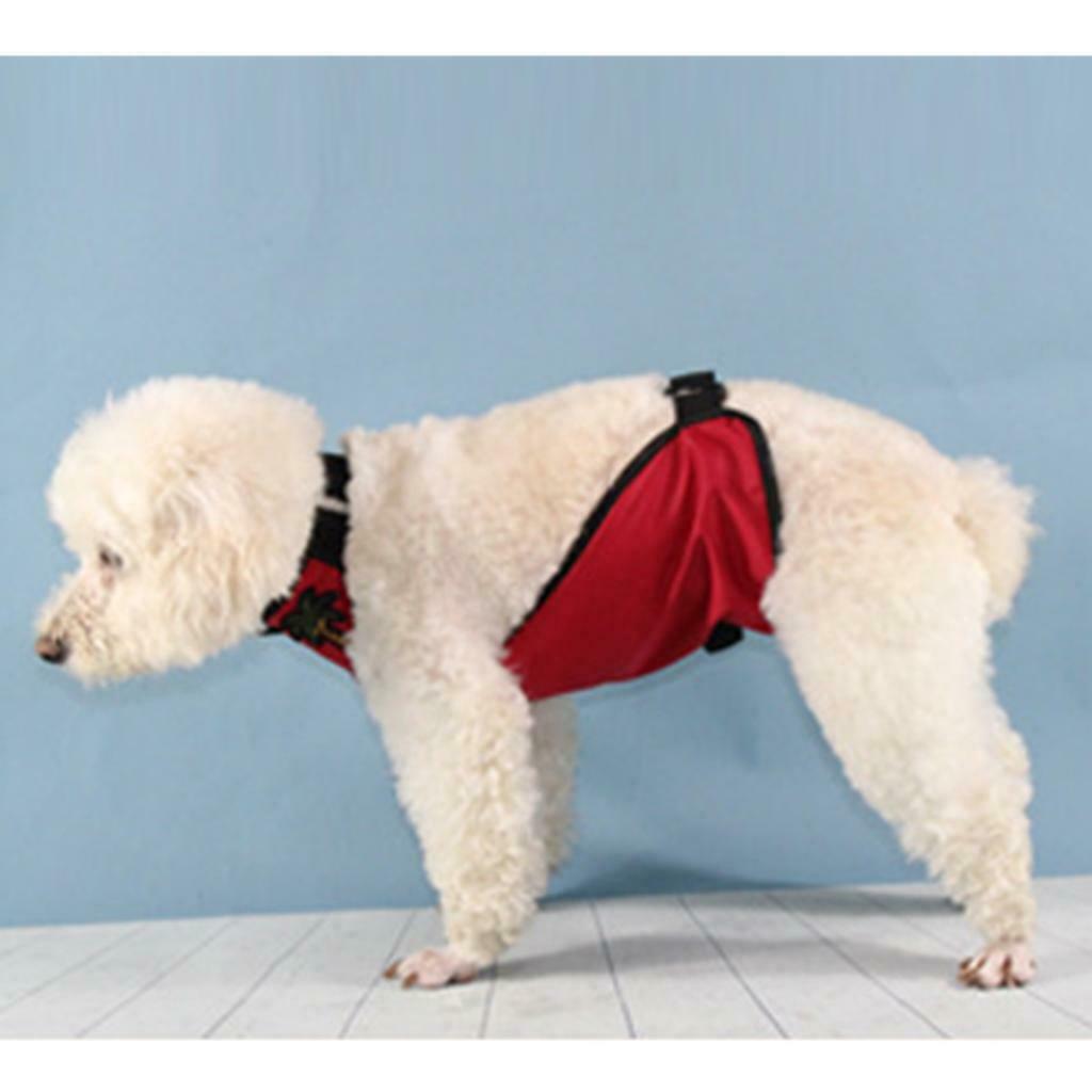 Puppy Pet Outdoor Cozy Comfortable Apparel For Small Medium Large Dogs Red