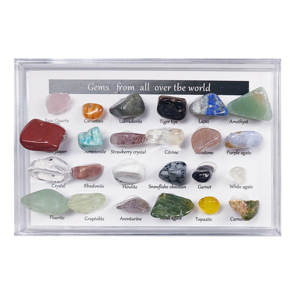 24x Rock Mineral Collection Set Mining Experimental Kit Science Geography