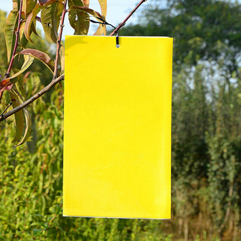 Double-sided insect trap Yellow board waterproof insect killer trap insect trap