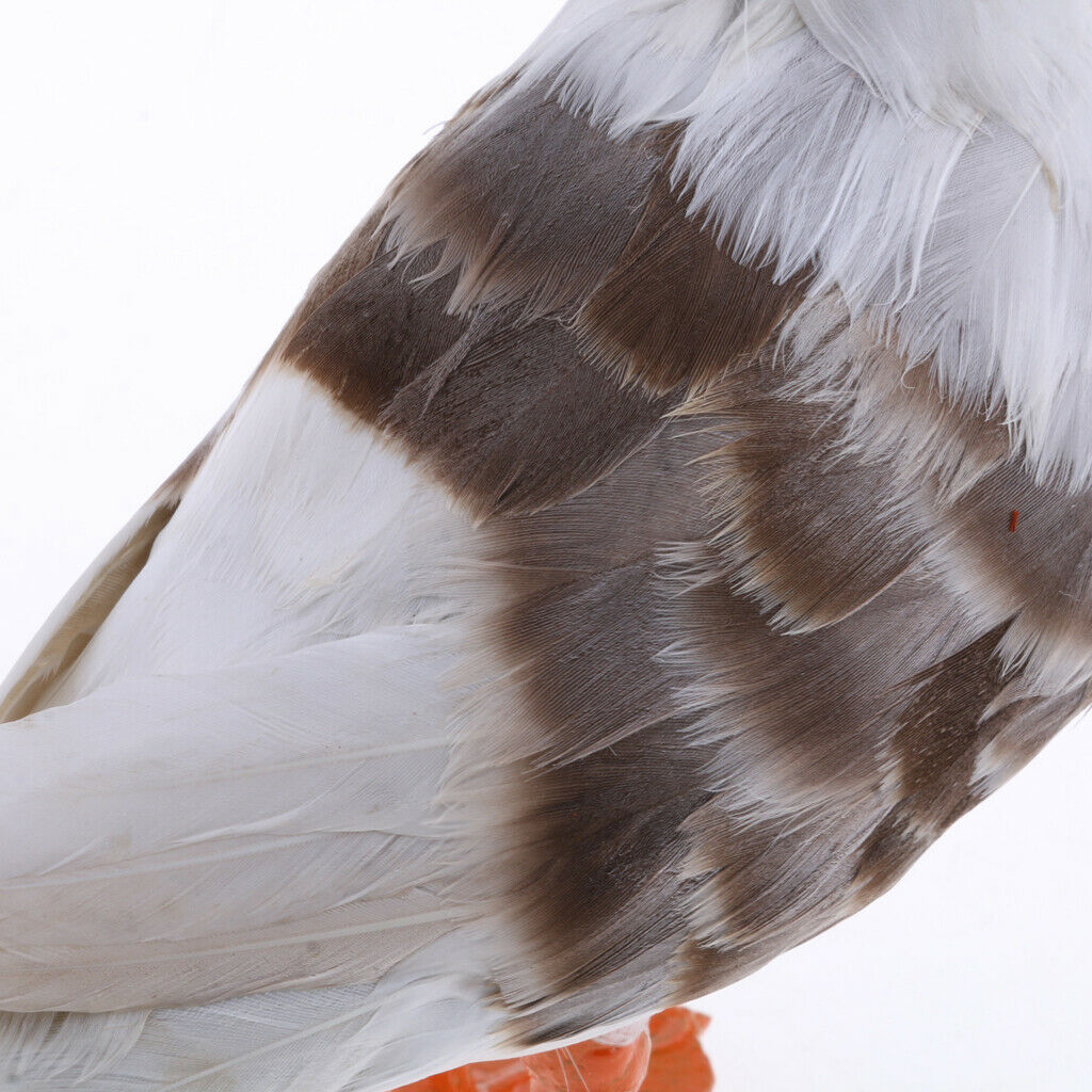 Simulated Seagull Realistic Bird Animal Artificial Feather Bird Garden Decor