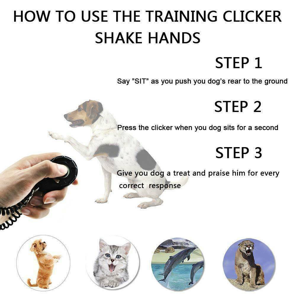 Professional Dog Training Clicker Trainer Tool For Dog Puppy Puppies Keyring