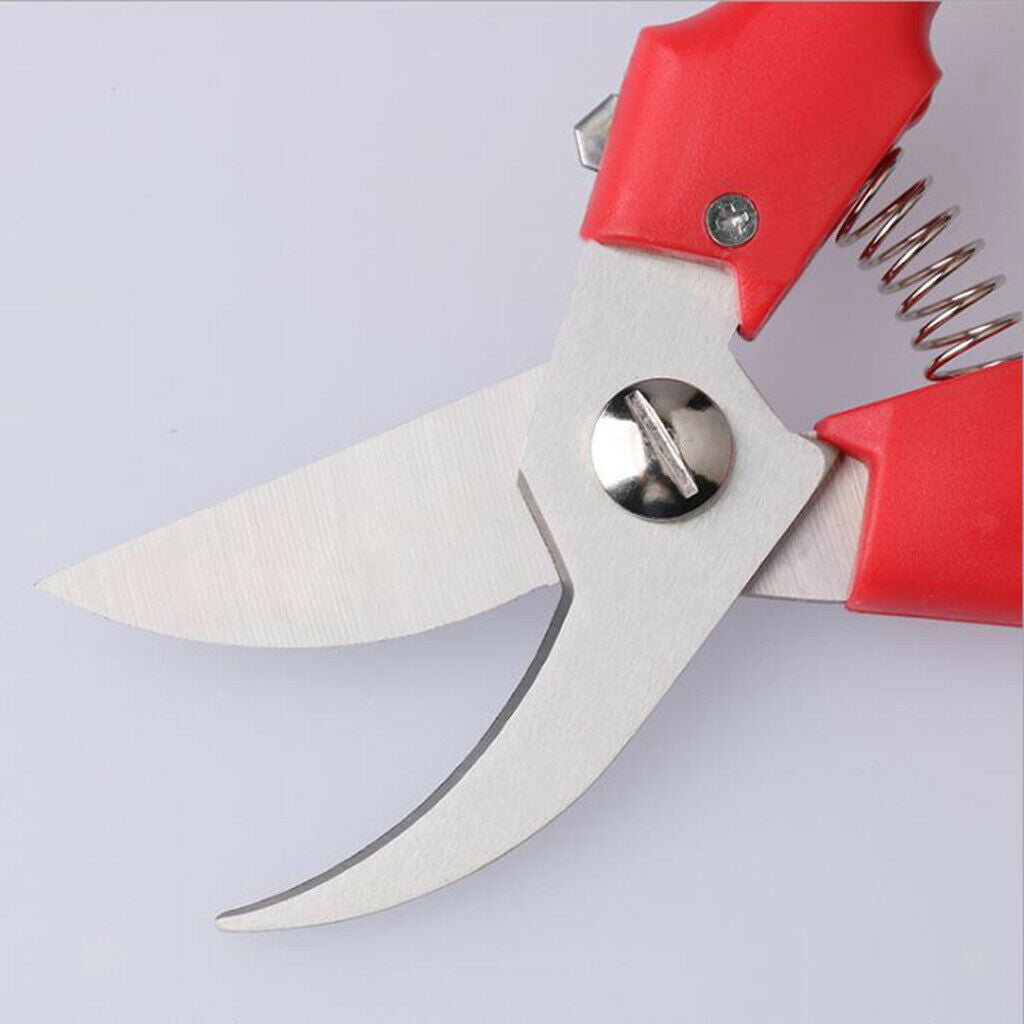 Garden secateurs, professional stainless steel pruning shears