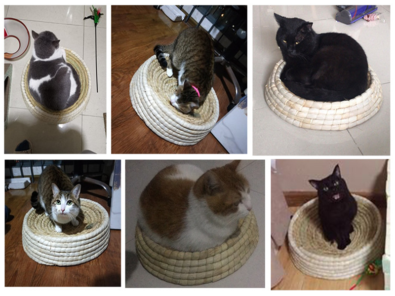 Pet Cat Nest Dry Grass Corn Husk Pole Fragrance Bird Dove Rabbit Hamster Mat