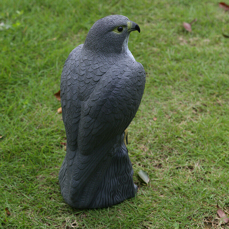 Realistic Eagle Hawk Hunting Decoyl Bird Falcon Pigeon Scarer Outdoor Garden