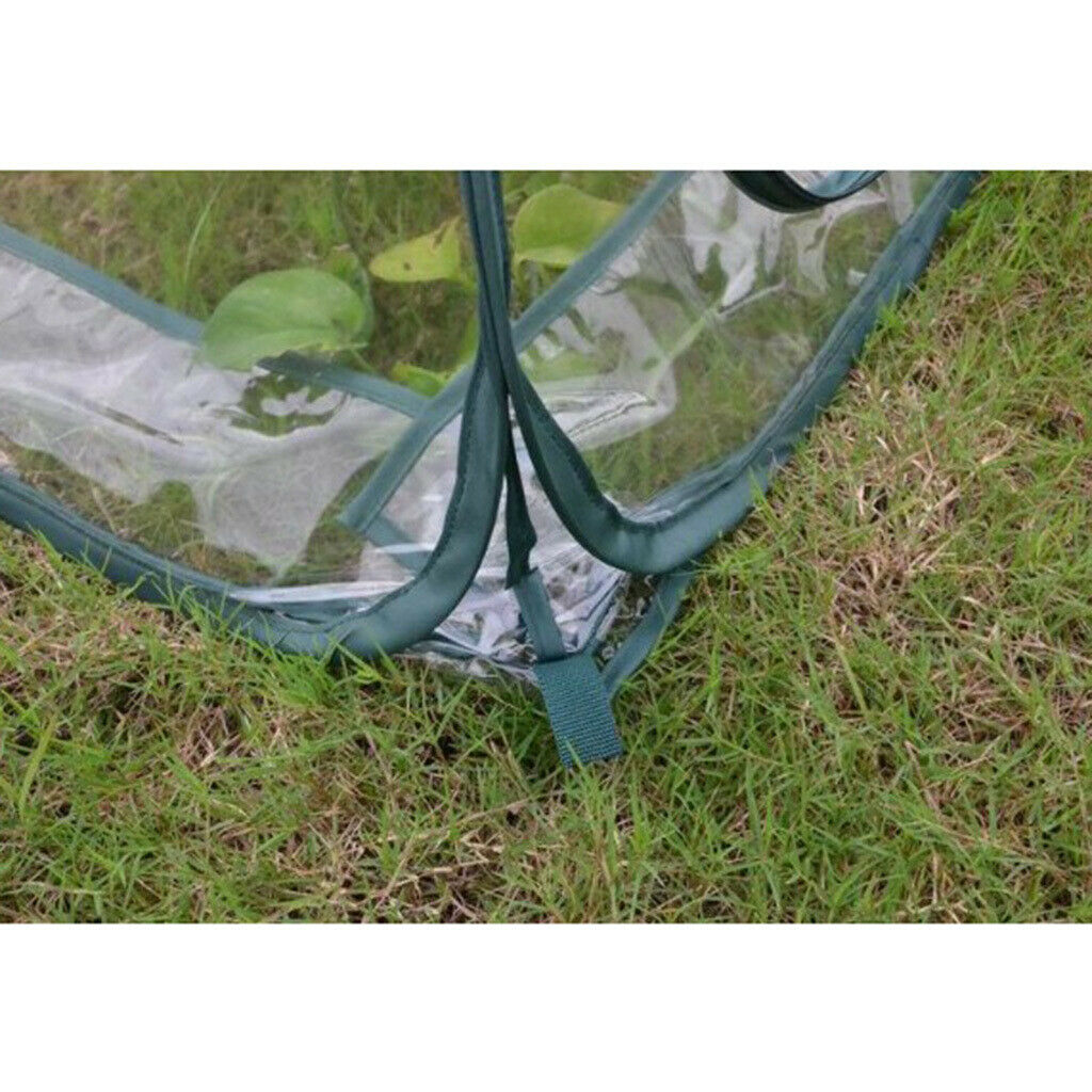 Small Tent   up Greenhouse Clear PVC Backyard Flowerpot Cover DURABLE