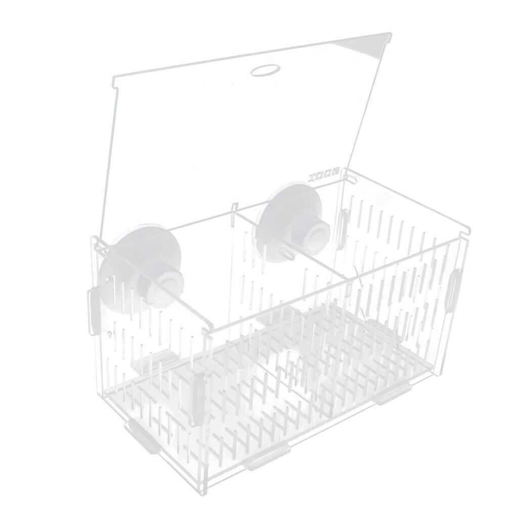 Aquarium Isolation Tank Young Fishes Rearing Box Tank with Suction Cup
