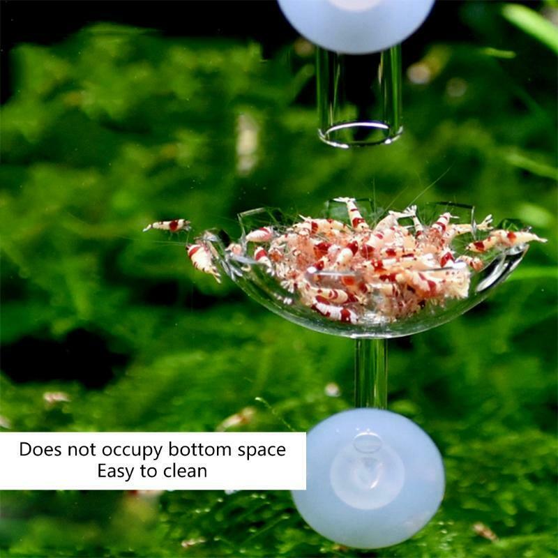 Shrimp Feeder Bowl Easy Fixed Clear Color Fish Feeding Dish with Durable Glass