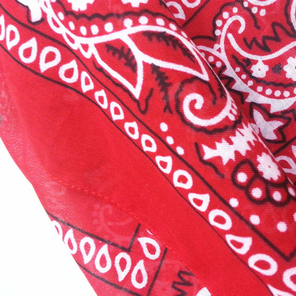 2Pcs 100% Cotton Paisley Print Paisley Cowboy Bandana Head Wrap Hair Band