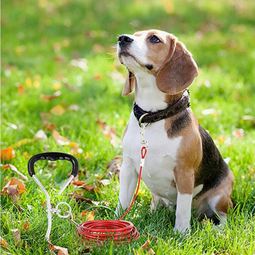 Pet Dog 5mm/6mm Easyturn Stake with 3Meter/5Meter of Tieout Heavy Duty Cable