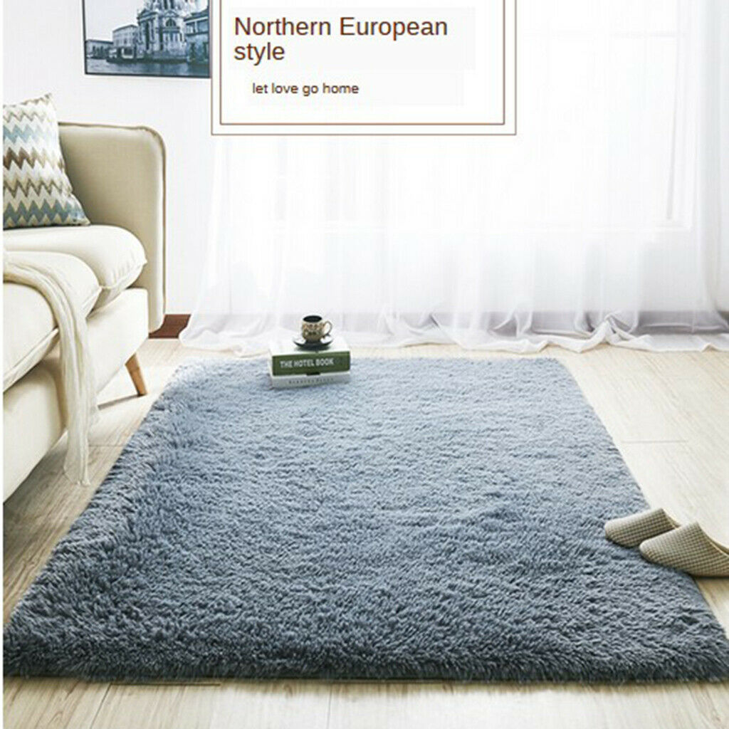 Modern Shag Area Fluffy Rugs Anti-Skid Shaggy Area Rug Bedroom Carpet Floor Mat
